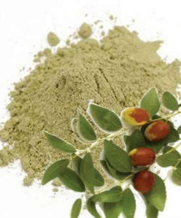 Ilanthai ilai / Indian Jujube Leaf, Indian Plum Leaf Powder / இலந்தை இலை பொடி