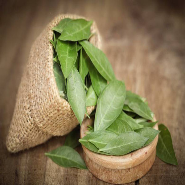 Maruthani Ilai (Powder) / Henna Leaves Powder / மருதாணி பொடி - Shop organic  herbal products, raw dried herbs, pisin, spices online - TrueLyf Essentials