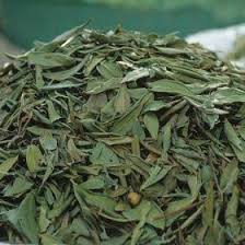 Maruthani ilai Dried  / Dried Henna Leaves / மருதாணி / Mignonette Tree