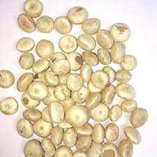 Thetran Kottai / Clearing Nut Dried (Raw)/ தேற்றான் கொட்டை/ Chillachettu