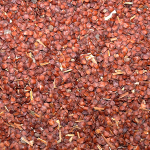 Neermulli Seed (Vithai) / Dried Marsh Barbel Seed / நீர்முள்ளி விதை