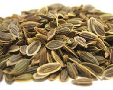 Sathakuppai / Dried Dill Seed  / சதகுப்பை