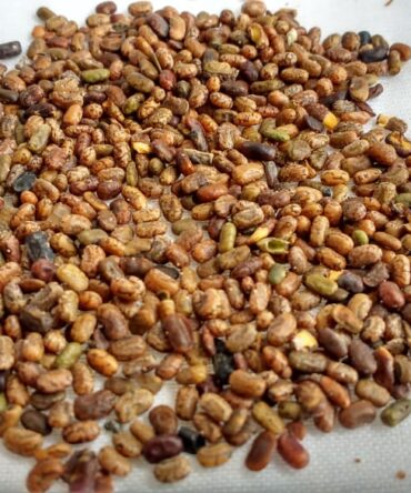 Kolinchi Seed / Common Tephrosia Seed